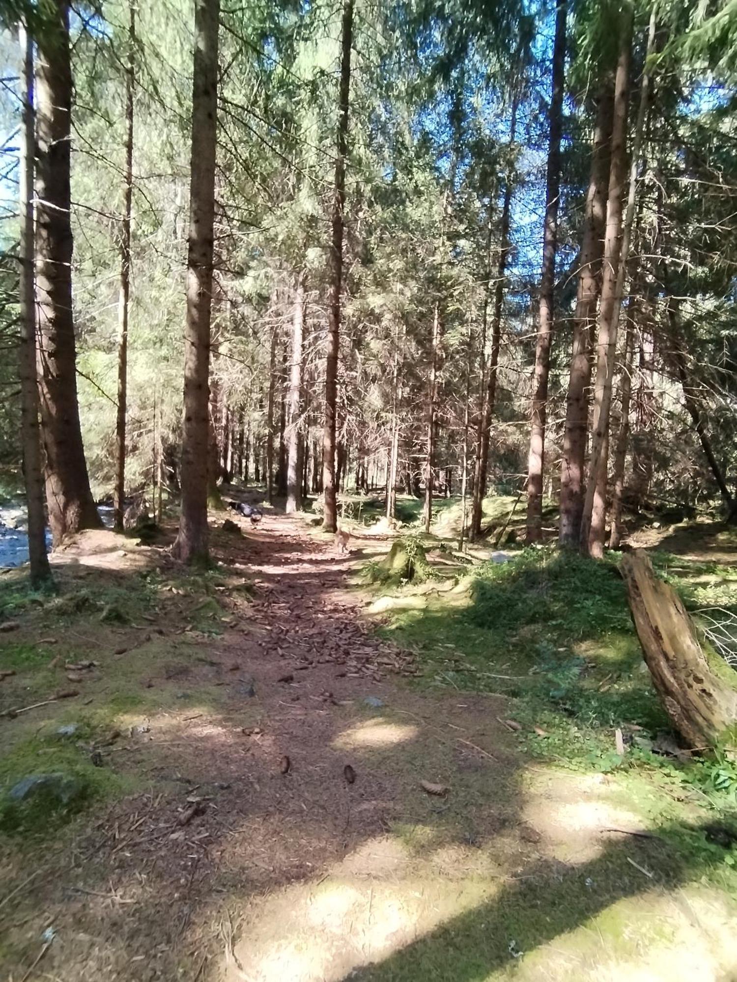 Penzion Real Žiar المظهر الخارجي الصورة