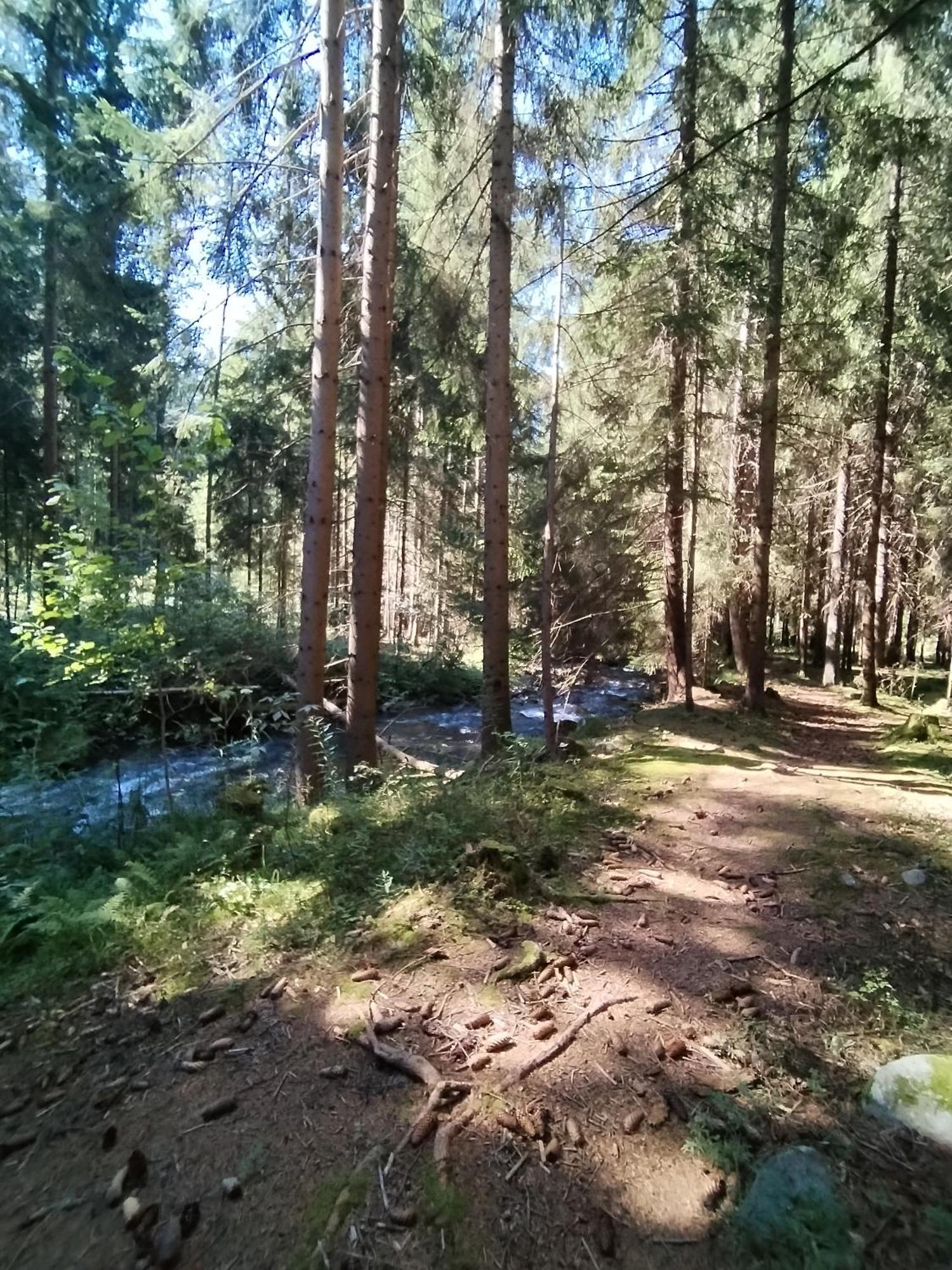 Penzion Real Žiar المظهر الخارجي الصورة